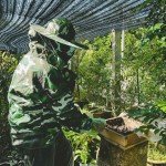 Bee Protective Jacket with Veil and Smock Hood