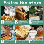 Essential 12-Piece Beekeeping Tool Kit