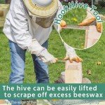 Essential 12-Piece Beekeeping Tool Kit
