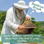 Essential 12-Piece Beekeeping Tool Kit