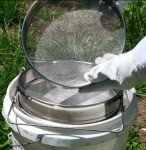 Stainless Steel Double Honey Strainer Filter