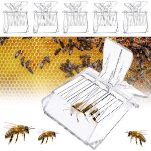 5 Pack Queen Bee Cage Catcher Clips