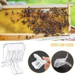 5 Pack Queen Bee Cage Catcher Clips