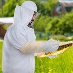 Beekeeping Suit with Veil and Jacket