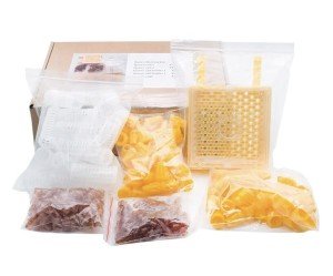 JENTER Queen Rearing System Set for Beekeeping