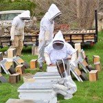 Kids Beekeeping Suit for Girls - Full Bodysuit