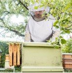 Beekeeping Suit Set with Jacket, Pants, Gloves