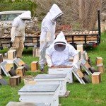 Professional Full Body Beekeeping Suit with Veil