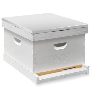Painted Beehive Starter Set with 10 Frames