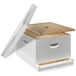 Painted Beehive Starter Set with 10 Frames