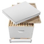 Painted Beehive Starter Set with 10 Frames