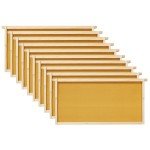 Painted Beehive Starter Set with 10 Frames