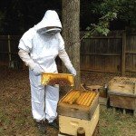 Ventilated Beekeeping Jacket with Sheepskin Gloves