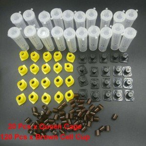 Bee Queen Rearing Complete Cup Kit