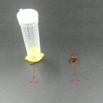 Bee Queen Rearing Complete Cup Kit