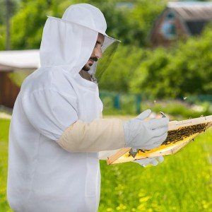 Beekeeping Protective Jacket with Gloves Set
