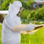Beekeeping Protective Jacket with Gloves Set