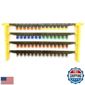 Queen Cell Cup Holder Frame Set with 50 Cups