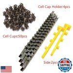 Queen Cell Cup Holder Frame Set with 50 Cups