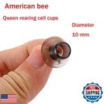 Queen Cell Cup Holder Frame Set with 50 Cups