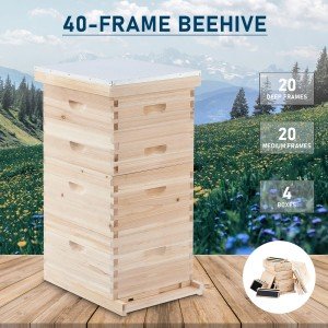 40 Frame Langstroth Beehive Kit - Deep & Medium
