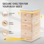 40 Frame Langstroth Beehive Kit - Deep & Medium