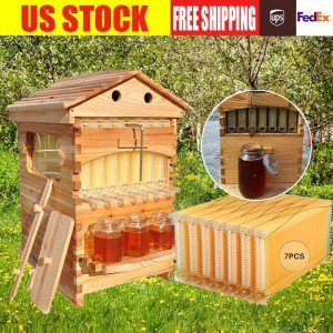 7-Frame Auto Seep Honey Beehive Kit