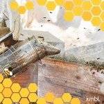 30-Piece Beekeeping Starter Set with Beeswax Sheets