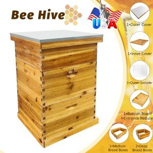 Complete Beekeeping Set: 3 Wooden Hive Boxes
