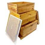 Complete Beekeeping Set: 3 Wooden Hive Boxes