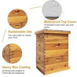 Complete Beekeeping Set: 3 Wooden Hive Boxes
