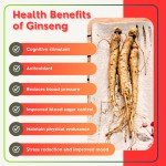 Ginseng Royal Jelly Extract 2000mg Energy Boost