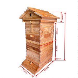 Mini Beehive Starter Kit with Auto Honey Design
