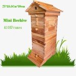 Mini Beehive Starter Kit with Auto Honey Design