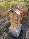 Mini Beehive Starter Kit with Auto Honey Design