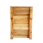 Mini Beehive Starter Kit with Auto Honey Design