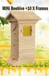 Mini Auto Beehive Set with 10 Frames