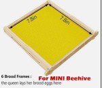 Mini Auto Beehive Set with 10 Frames
