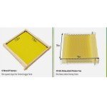 Mini Auto Beehive Set with 10 Frames