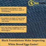 Unassembled Langstroth Beehive Box Set with Frames