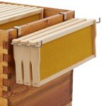 Stainless Steel Beehive Frame Holders - 2 Pack