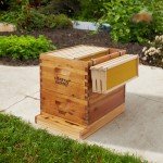 Stainless Steel Beehive Frame Holders - 2 Pack