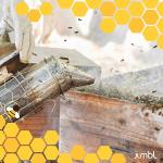 30-Piece Beekeeping Starter Set with 10-Frame Hive