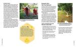 Backyard Beekeeper: Beginner’s Guide to Beekeeping