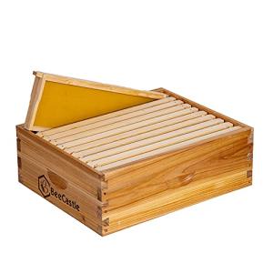 BeeCastle 10 Frame Medium Langstroth Bee Hive Box