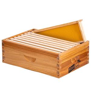 Medium Langstroth Beehive Box with Frames & Wax