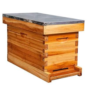 5-Frame Nuc Beehive Box Kit with Metal Roof