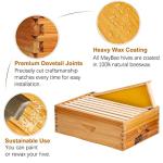 Medium Langstroth Beehive Box with Frames & Wax