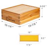 BeeCastle 10 Frame Medium Langstroth Bee Hive Box