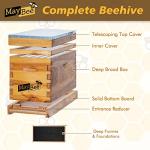 5-Frame Nuc Beehive Box Kit with Metal Roof